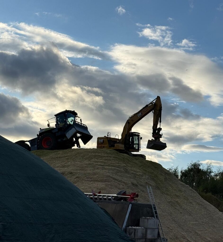 Traktor und Bagger verdichten die Maissilage in Altenebstorf — der Rohstoff, aus dem Biogas und Biomethan entstehen